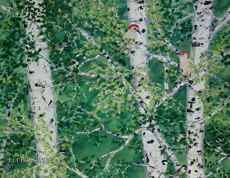 Red Bellied Woodpeckers Plus Seven